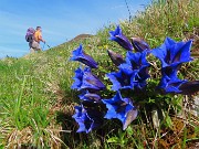 Festa di fiori e marmotte per i Monti Foppa e Avaro-28magg25